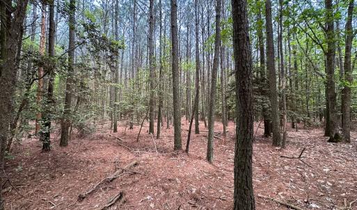 Photo #10 of Lot 8 - Off Kegotank Rd, Nelsonia, VA 1.7 acres