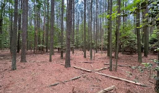 Photo #13 of Lot 8 - Off Kegotank Rd, Nelsonia, VA 1.7 acres