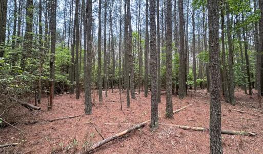 Photo #14 of Lot 8 - Off Kegotank Rd, Nelsonia, VA 1.7 acres