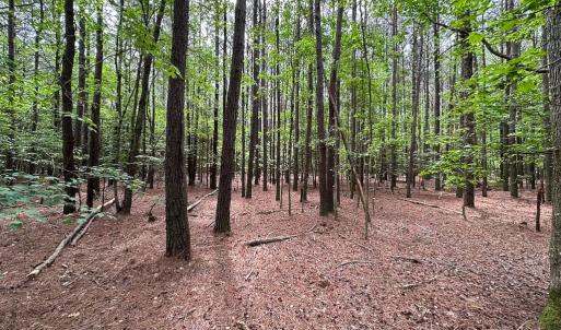 Photo #6 of Lot 3 - Off Kegotank Rd, Nelsonia, VA 2.0 acres