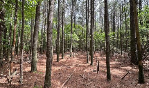 Photo #12 of Lot 3 - Off Kegotank Rd, Nelsonia, VA 2.0 acres