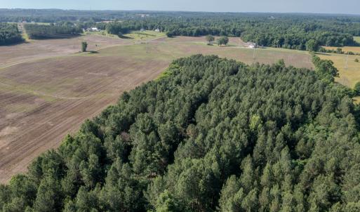 Photo #22 of 10010 Roundtree Road, Mt. Pleasant, NC 61.4 acres