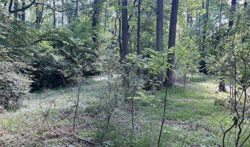 Photo #4 of Off Murray Rd, Winston Salem, NC 0.5 acres