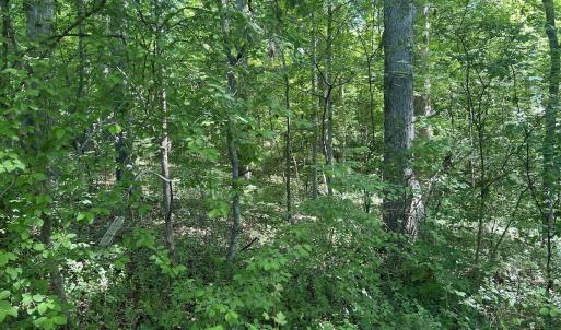 Photo #8 of Off Murray Rd, Winston Salem, NC 0.5 acres