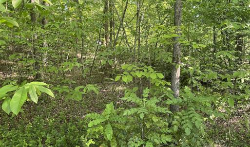 Photo #9 of Off Murray Rd, Winston Salem, NC 0.5 acres