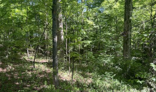 Photo #21 of Off Murray Rd, Winston Salem, NC 0.5 acres