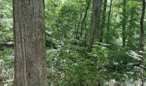 Photo #25 of Off Murray Rd, Winston Salem, NC 0.5 acres