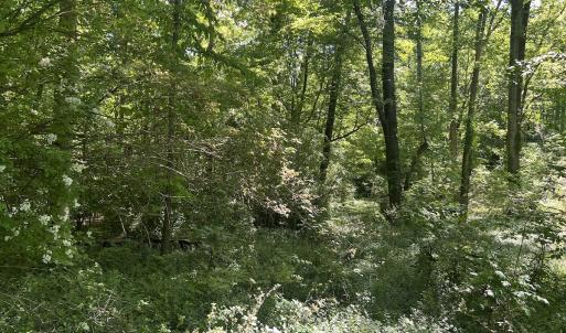 Photo #26 of Off Murray Rd, Winston Salem, NC 0.5 acres