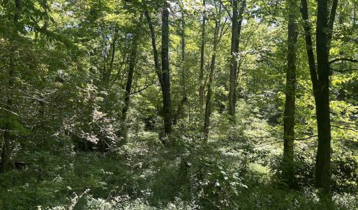 Photo #27 of Off Murray Rd, Winston Salem, NC 0.5 acres