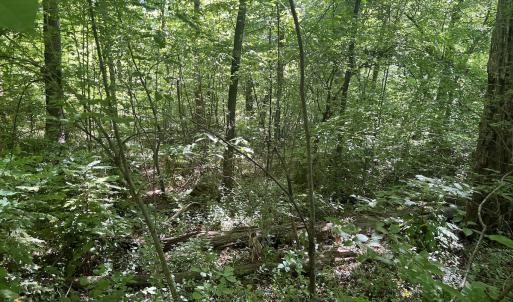 Photo #28 of Off Murray Rd, Winston Salem, NC 0.5 acres