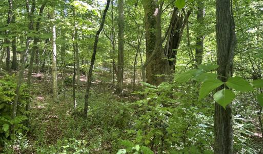 Photo #29 of Off Murray Rd, Winston Salem, NC 0.5 acres