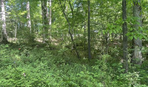 Photo #32 of Off Murray Rd, Winston Salem, NC 0.5 acres