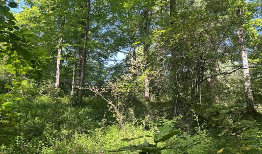 Photo #33 of Off Murray Rd, Winston Salem, NC 0.5 acres