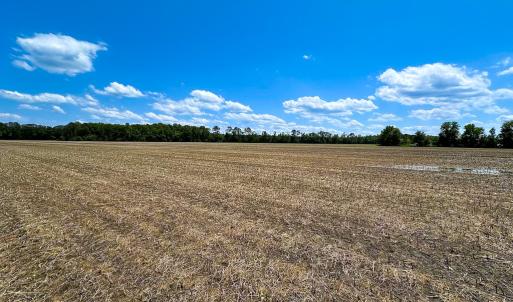 Photo #3 of Off West Rd, Chesapeake, VA 23.6 acres