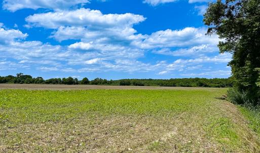 Photo #11 of Off West Rd, Chesapeake, VA 23.6 acres