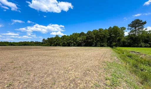 Photo #14 of Off West Rd, Chesapeake, VA 23.6 acres
