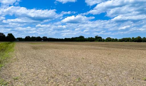 Photo #15 of Off West Rd, Chesapeake, VA 23.6 acres