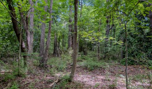 Photo #25 of TBD West Main Street, Locust, NC 8.7 acres