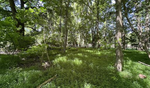 Photo #8 of 19081 Rawlings Rd, Capron, VA 0.7 acres