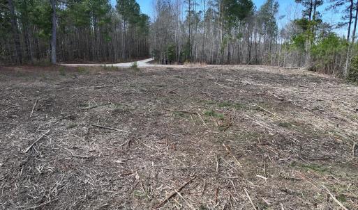 Photo #17 of 02 Pine Grove Church Road, Eagle Springs, NC 10.9 acres