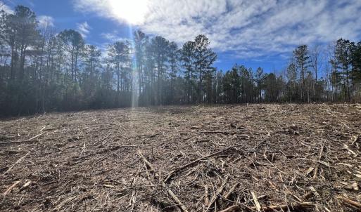 Photo #21 of 02 Pine Grove Church Road, Eagle Springs, NC 10.9 acres