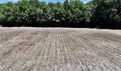Photo #14 of Off Highway 48, Littleton, NC 4.6 acres
