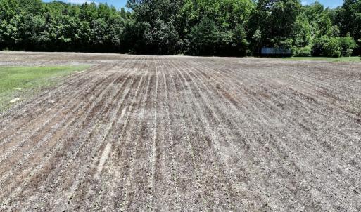 Photo #17 of Off Highway 48, Littleton, NC 4.6 acres