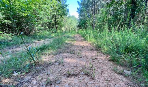 Photo #18 of Off Warrenton Embro Rd, Macon, NC 149.8 acres