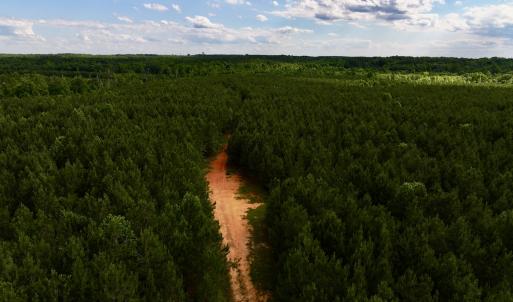 Photo #7 of Off Warrenton Embro Rd, Macon, NC 149.8 acres