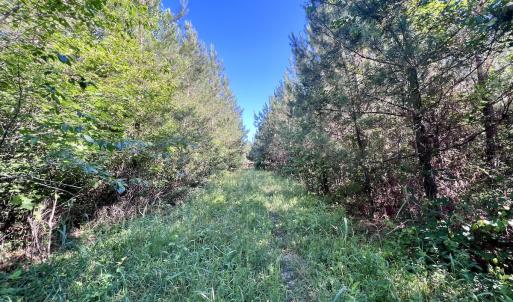 Photo #25 of Off Warrenton Embro Rd, Macon, NC 149.8 acres