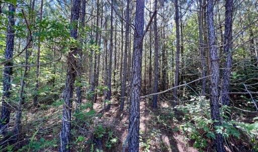 Photo #50 of Off Warrenton Embro Rd, Macon, NC 149.8 acres