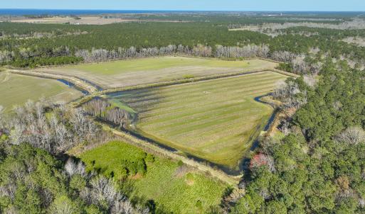 Photo #14 of 368 Soundside Rd, Columbia, NC 280.0 acres