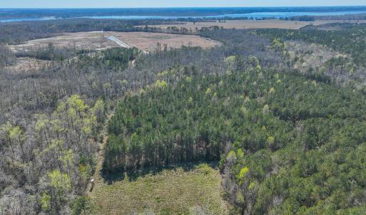 Photo #17 of 368 Soundside Rd, Columbia, NC 280.0 acres