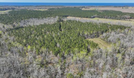 Photo #18 of 368 Soundside Rd, Columbia, NC 280.0 acres