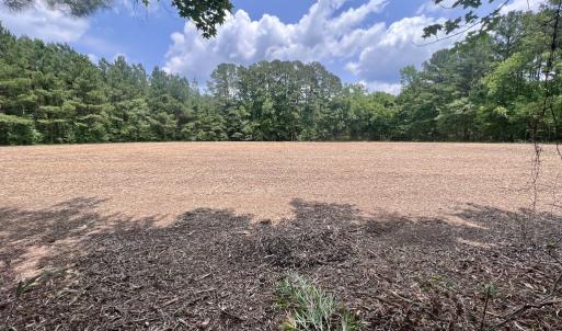 Photo #14 of Off Wilcox Ln, Vanceboro, NC 57.8 acres