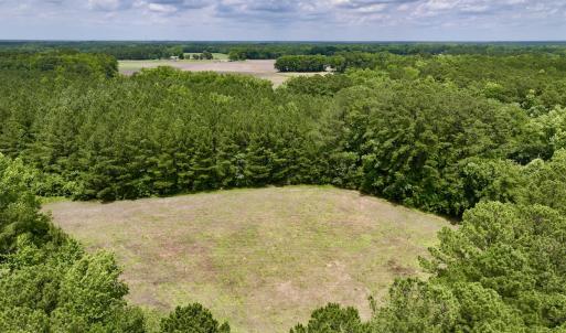 Photo #15 of Off Wilcox Ln, Vanceboro, NC 57.8 acres