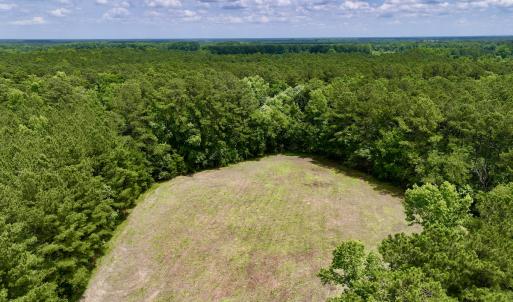 Photo #16 of Off Wilcox Ln, Vanceboro, NC 57.8 acres