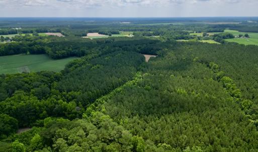 Photo #3 of Off Wilcox Ln, Vanceboro, NC 57.8 acres