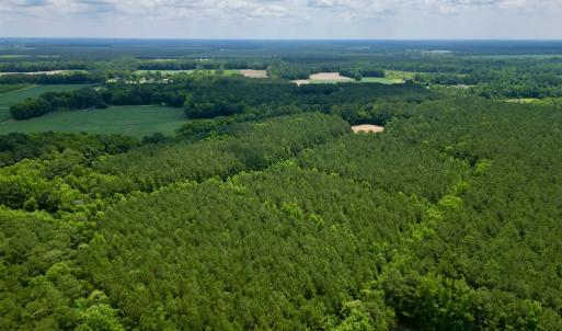 Photo #4 of Off Wilcox Ln, Vanceboro, NC 57.8 acres