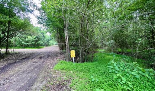 Photo #31 of Off Wilcox Ln, Vanceboro, NC 57.8 acres