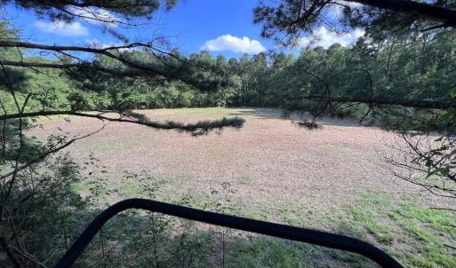 Photo #36 of Off Wilcox Ln, Vanceboro, NC 57.8 acres