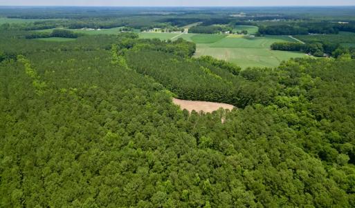 Photo #6 of Off Wilcox Ln, Vanceboro, NC 57.8 acres