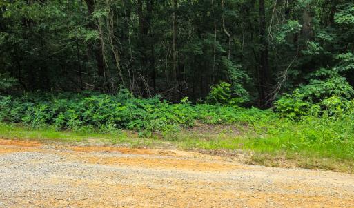Photo #14 of Off Green Pasture Lane, Ruffin, NC 1.5 acres