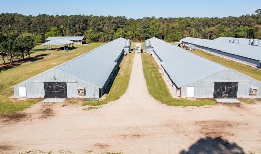 Photo #18 of 724 Josey Williams Rd, Erwin, NC 23.5 acres