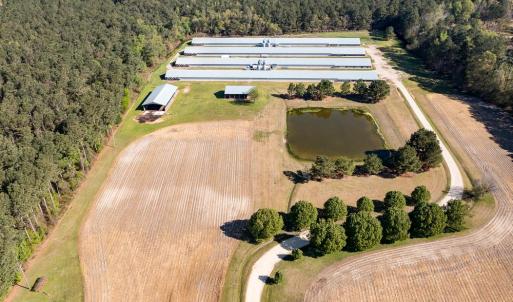 Photo #13 of 724 Josey Williams Rd, Erwin, NC 23.5 acres