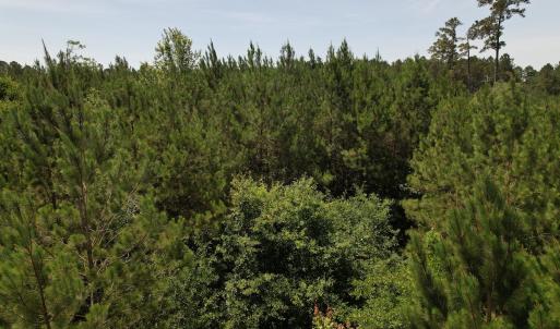 Photo #12 of Off Old Lake Road, Council, NC 2.4 acres