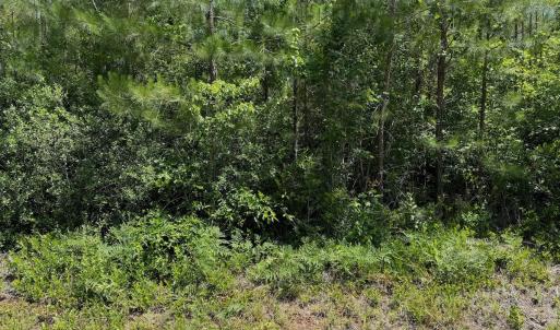 Photo #15 of Off Old Lake Road, Council, NC 2.4 acres
