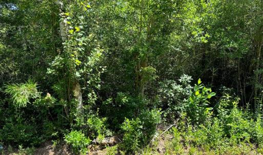 Photo #17 of Off Old Lake Road, Council, NC 2.4 acres