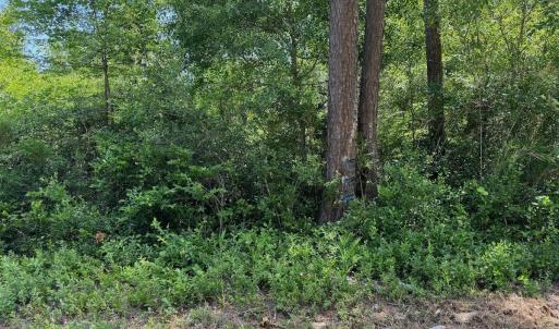 Photo #18 of Off Old Lake Road, Council, NC 2.4 acres