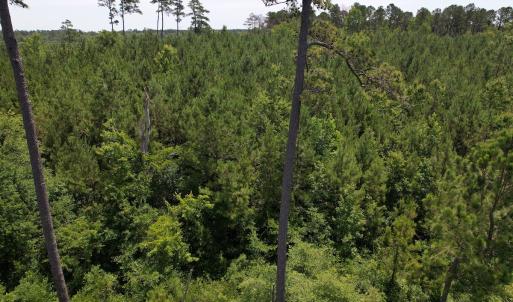 Photo #6 of Off Old Lake Road, Council, NC 2.4 acres